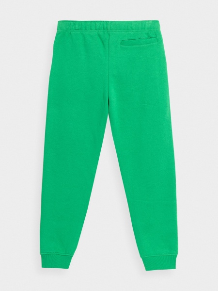 Штани 4F TROUSERS CAS 4FJSS23TTROM556-42S р. 164 зелений