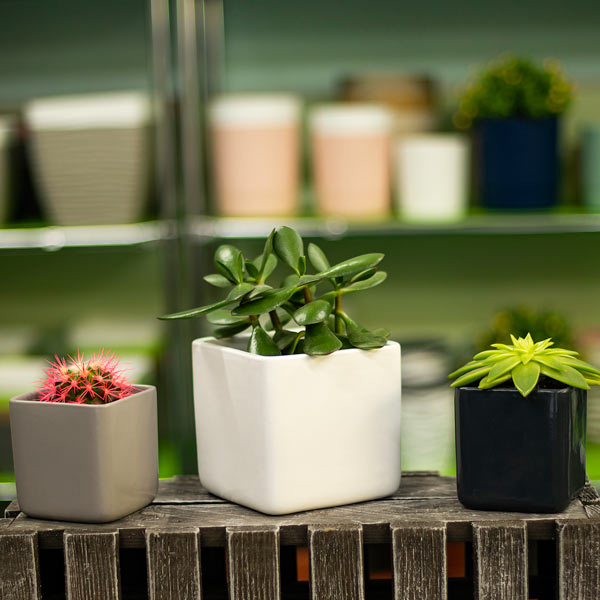 Кашпо керамическое Santino HORTI-1 квадратный 1,5 л белый (O-39-10-J-15-00) 