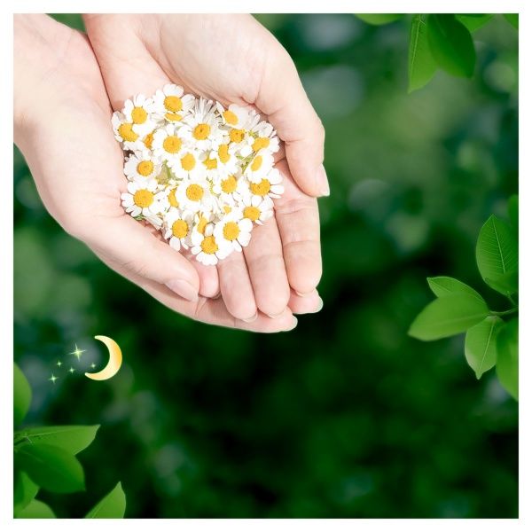 Прокладки гігієнічні Naturella Ultra Camomile night 28 шт.