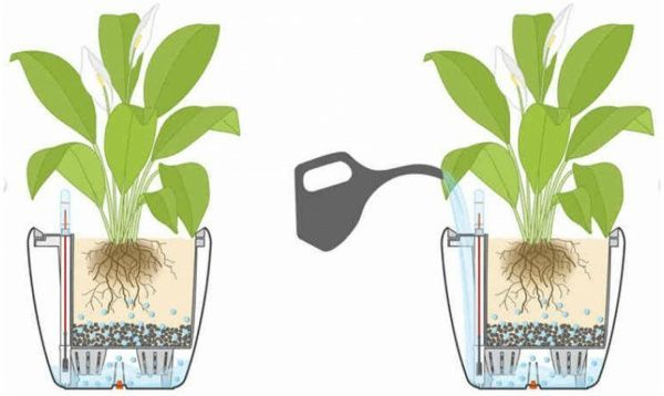 Вазон пластиковый Lechuza Classico Premium LS 35 круглый 39,1л белый 