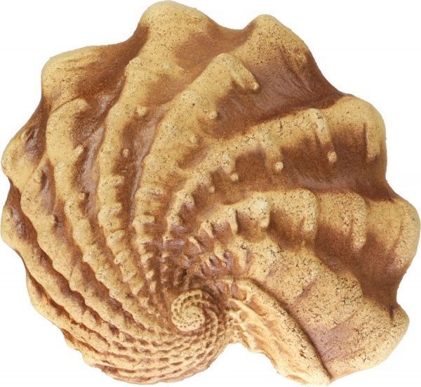 Декоративный элемент Наш шлях Третий дар Посейдона