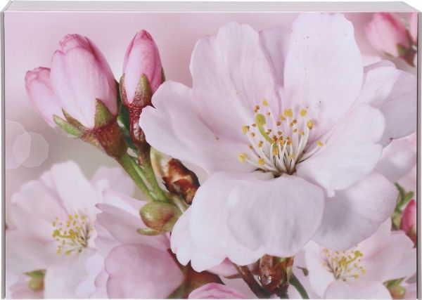 Скринька CooverBox 51138476