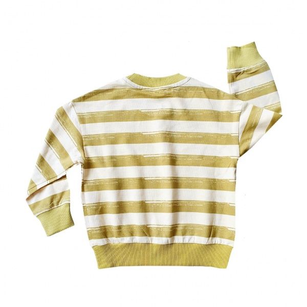 Реглан унісекс Colibri р.104 жовто-зелений В4011 