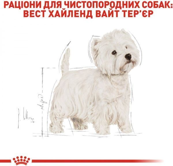 Корм Royal Canin для собак WEST HIGHLAND WHITE TERRIER ADULT 0,5 кг