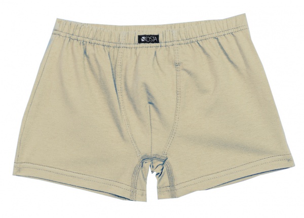 Трусы для мальчиков KOSTA р.134–140 бежевый 2105-3 