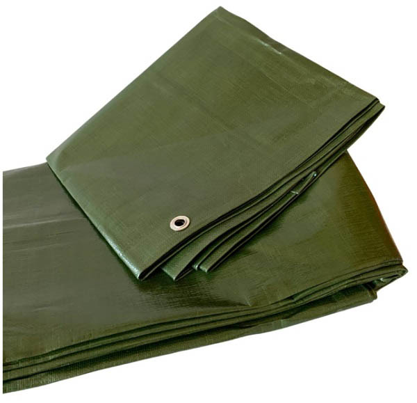 Тент Agreen 200 г/кв. м, 8x10 м темно-зелений