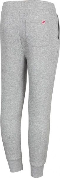 Брюки 4F HJL21-JSPDD001-27M р. 134 светло-серый меланж