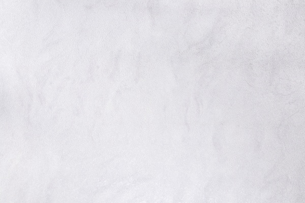 Шпалери вінілові на флізеліновій основі Vinil Норвуд стіна ЭШТ 1-1533 1,06x10,05 м 