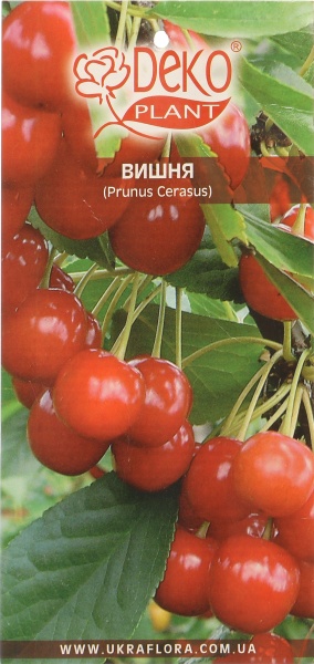 Саджанець Dekoplant Вишні пакет