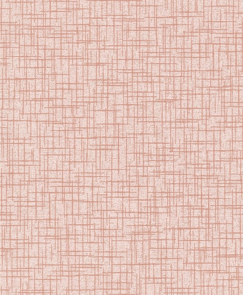 Шпалери вінілові на паперовій основі Bravo 80265BR54 0,53x10,05 м 