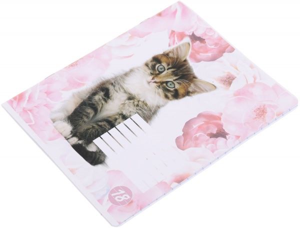 Тетрадь школьная Cat 18 листов линия 1 Мечты сбываются