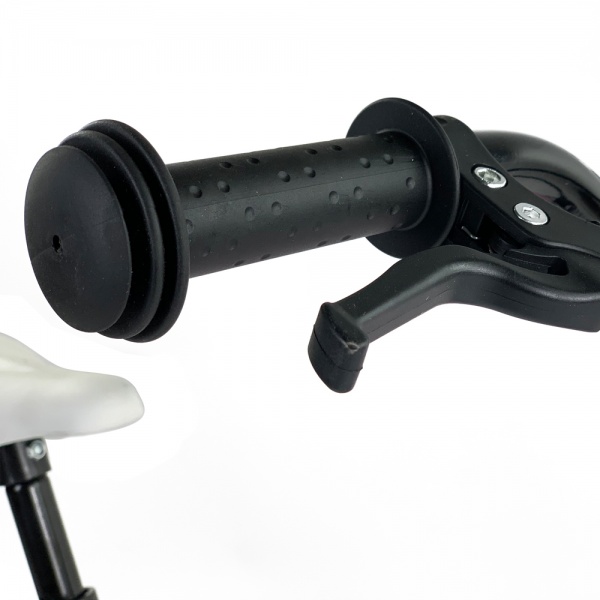 Велосипед детский RoyalBaby Chipmunk Moon 18