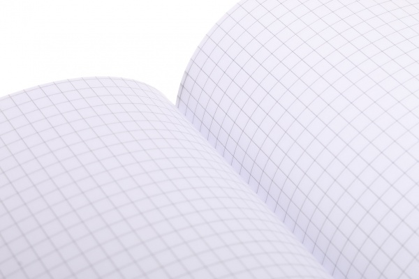 Книга учета Престиж А4 192 листов в ассортименте Аркуш