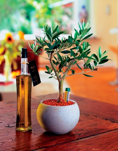 Субстрат SERAMIS универсальный 7,5 л