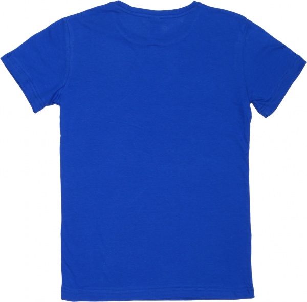 Футболка жіноча Роза 160404 р. XL синій