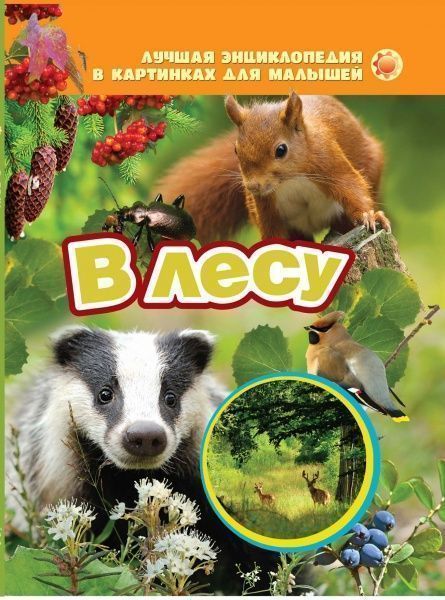 Книга «В лесу» 978-966-462-668-9