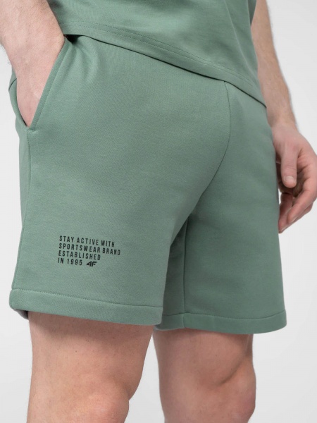 Шорти 4F H4L22-SKMD015-47S р. 3XL м'ятний