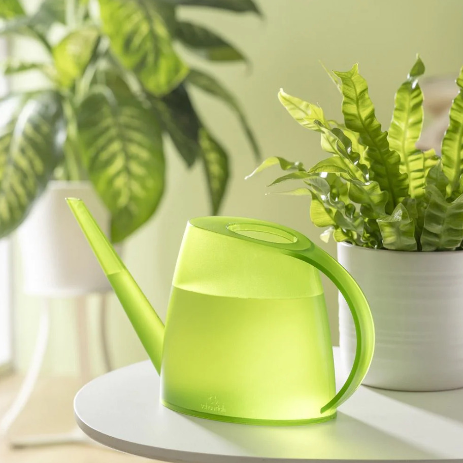 Лейка Scheurich 1,5 л лайм