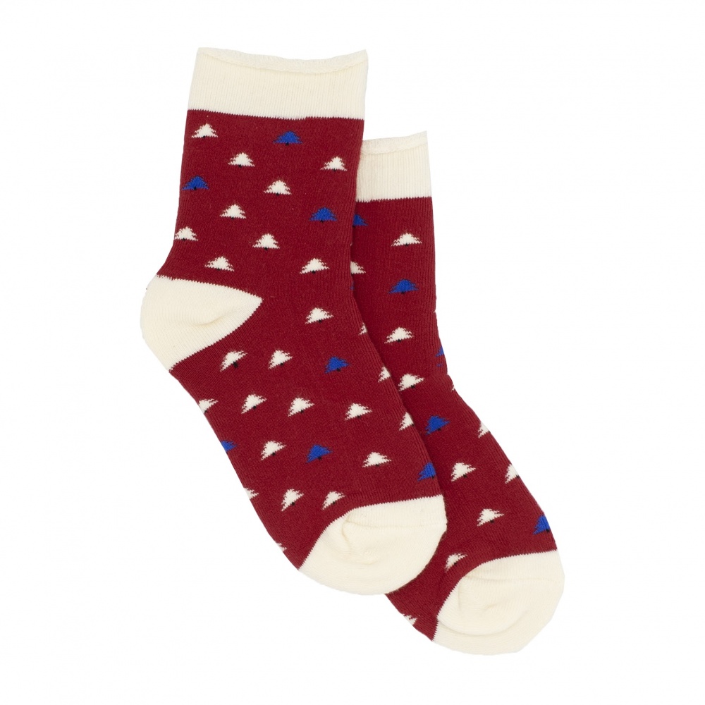 Шкарпетки дитячі унісекс Leostep 1008016023 р. 34-37 червоний із малюнком