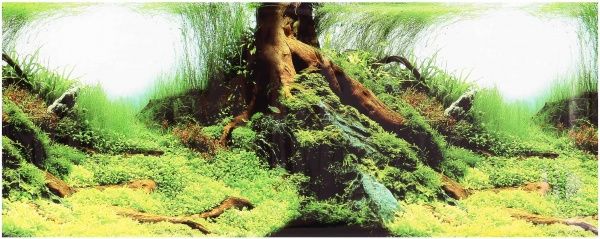 Фон TRIXIE для акваріума двосторонній 120х50 см 8127