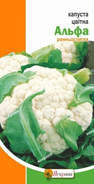 Семена Яскрава капуста цветная Альфа летняя 0,3г (4823069800628)