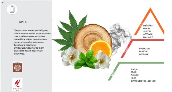 Аромадифузор для дому Hypno Casa Oppio 100 мл 