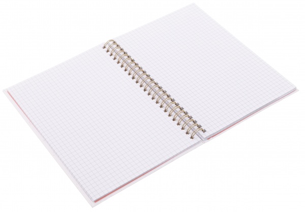 Книга для записей Летние нотки А5 80 листов