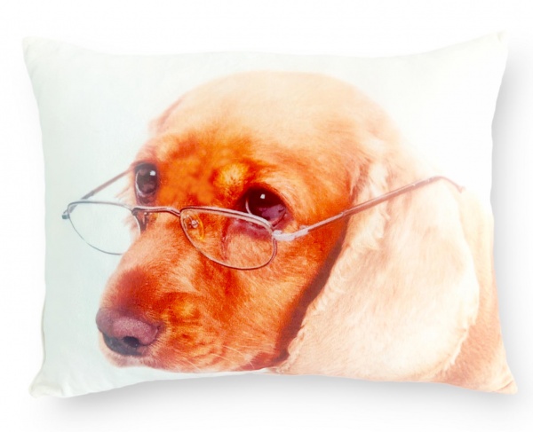 Подушка декоративная Пес в очках 40x50 см Selena 