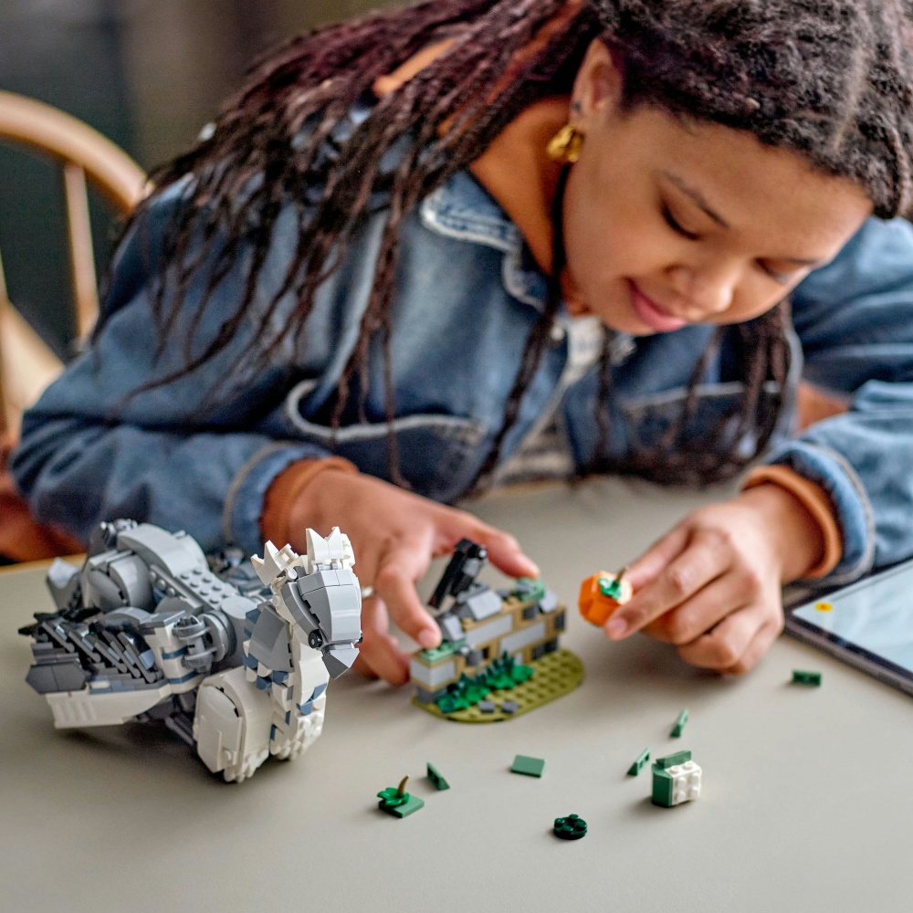 Конструктор LEGO Harry Potter Бакбик 76427