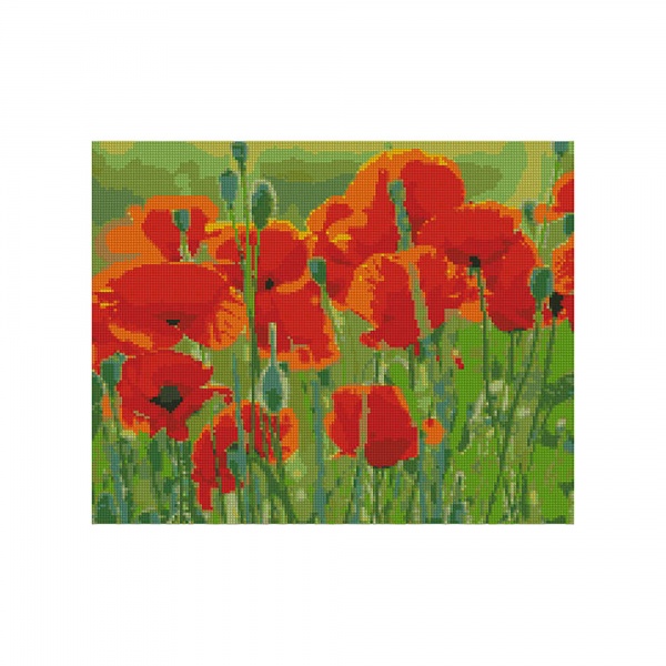 Картина стразами Макове поле FA40795 Strateg 