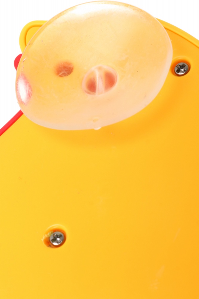 Набор игрушек для купания Kaichi 5 шт. красочные OTG0978809