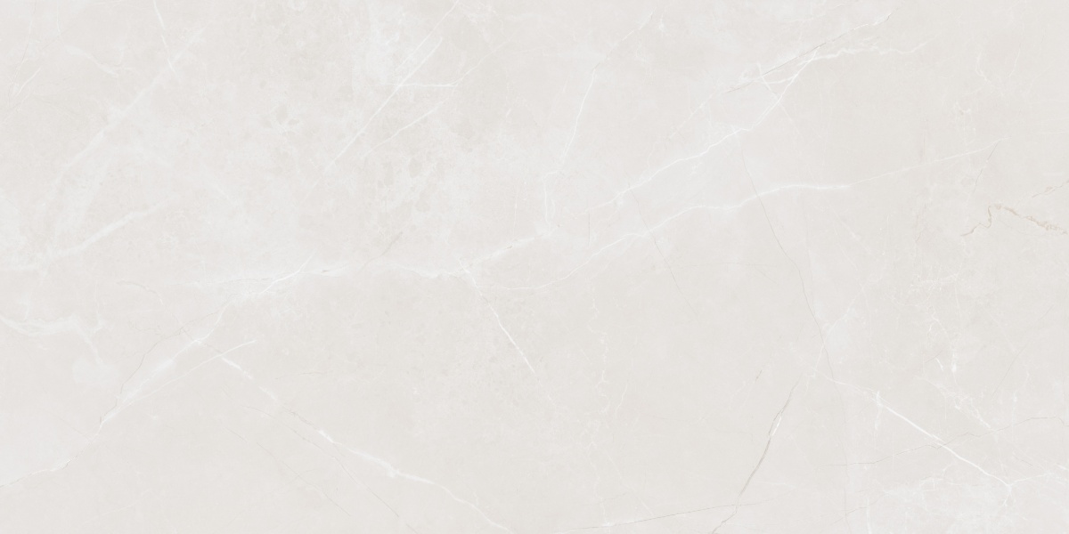 Плитка Articer Tiles Barocco light polished grey 60x120 см — фото 1