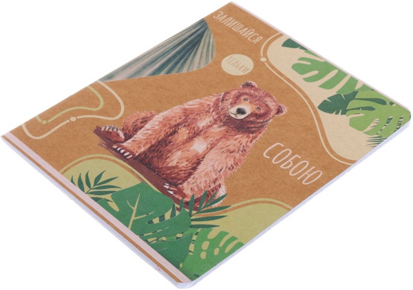 Тетрадь школьная Айвори серия 1 48 листов в клеточку Поділля