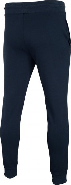 Брюки 4F NOSH4-SPMD001-31S р. 3XL темно-синий