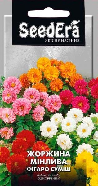 Насіння Seedera жоржина мінлива Фігаро суміш 0,5 г
