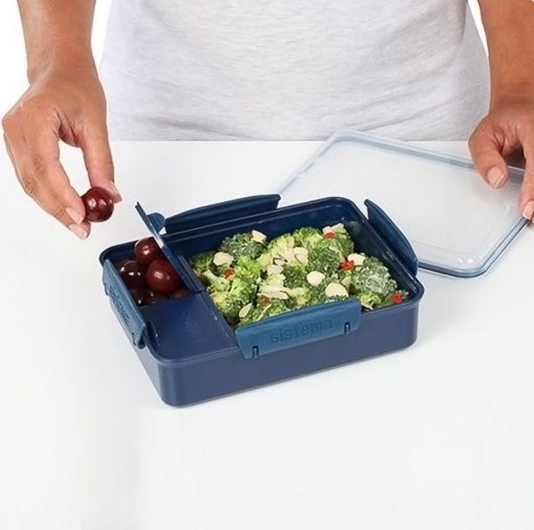Контейнер для хранения RENEW две секции 0,975 л пластик синий 02500202 Sistema
