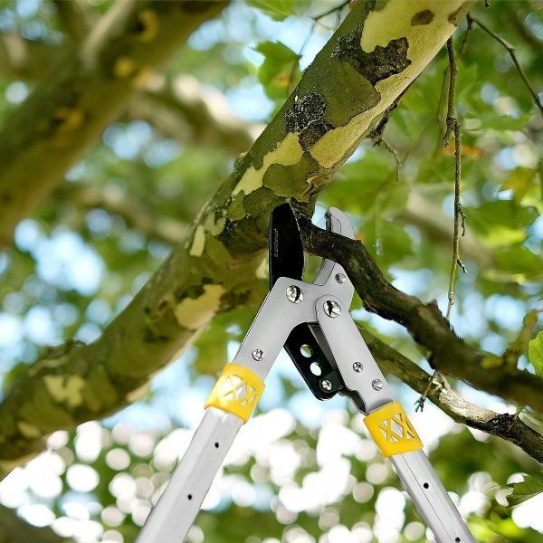 Сучкорез Gruntek XT27-40 Premium