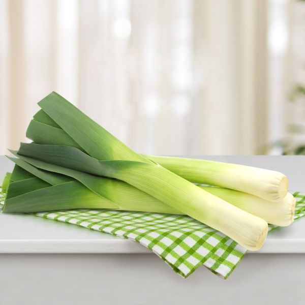 Семена Професійне насіння лук-порей Гигант порей 0,5г (4820176693259)