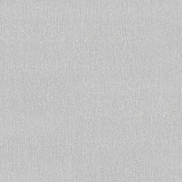 Шпалери зі спіненого вінілу Vinil Екхард ДХН-1367/5 1,06x10,05 м 