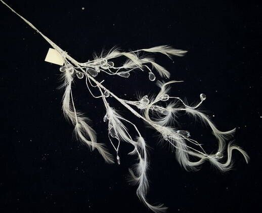 Декорація новорічна Гілка з пір'ям і кристалами 67 см EPI-15A3530 