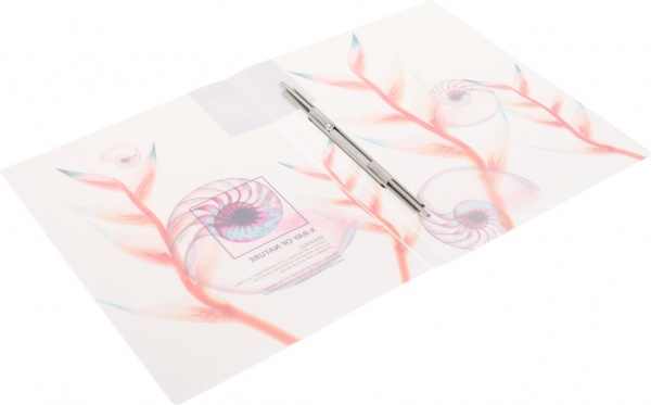 Папка Калейдоскоп А4 в ассортименте Optima