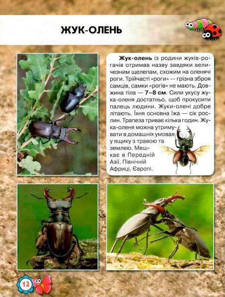 Книга Тамара Протасовицкая «Світ навколо нас. Комахи» 978-966-9369-20-8