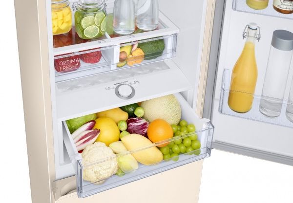 Холодильник Samsung RB36T674FEL/UA