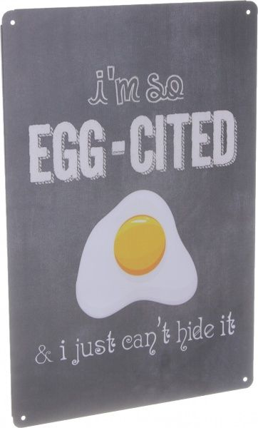 Табличка жестяная печатная Egg-cited 30x20 см разноцветный 