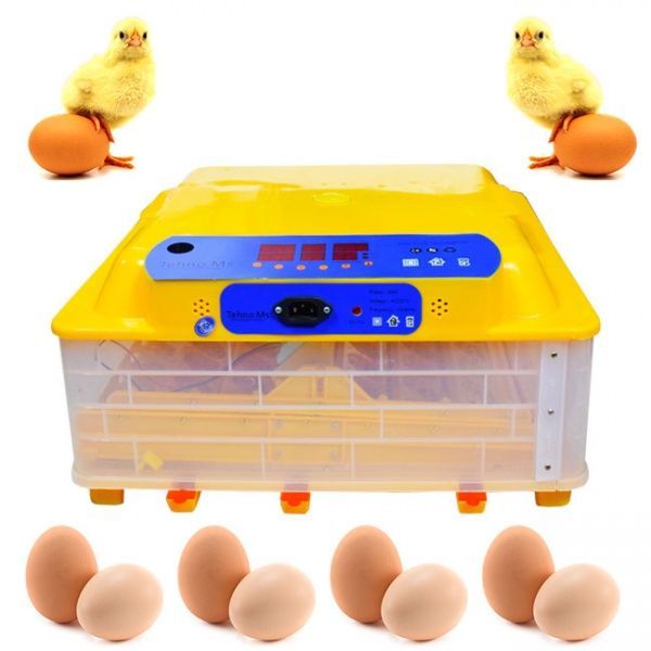 Инкубатор Инкубатор автоматический MS-56