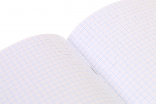 Тетрадь школьная Space скоба 12 листов в клетку Мечты сбываются