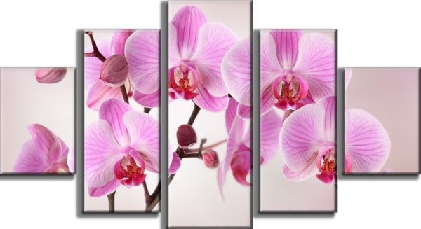 Картина модульная 60x110 см M5(S) F-250 