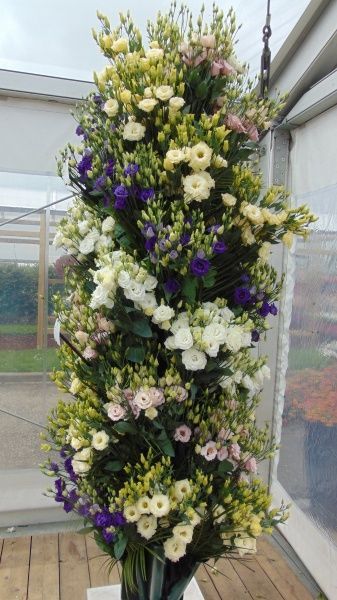 Семена Професійне насіння эустома АВС F1 смесь 10 шт. (4823058202730)