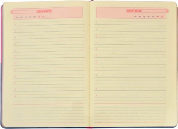 Дневник Angolo А5 251969 Leo Planner