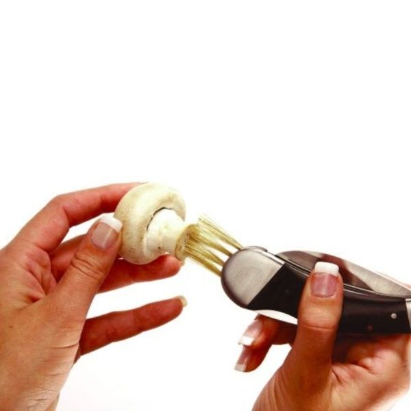 Ніж розкладний Schwarzwolf PILZ грибний F1900200SA3